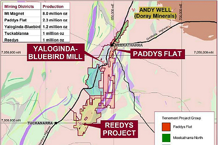 Meekatharra Gold Operation (MGO)